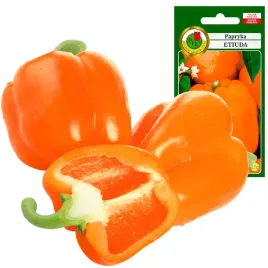 papryka-etiuda-plenna-owoc-xxl-soczysta-pomarancz