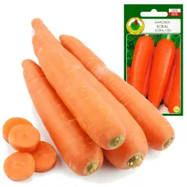 marchew-jadalna-koral-plenna-na-sok-dl-do-20cm