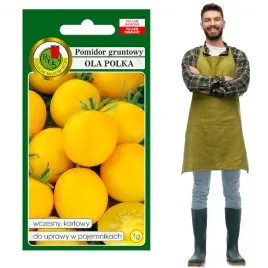 pomidor-ola-polka-karlowy-zolty-idealny-na-balkon-wczesny