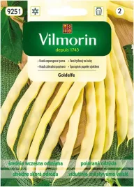 fasola-goldelfe-typ-mamutszparagowa-tyczna-zolta-vilmorin-nasiona-10g