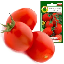 pomidor-pikador-plenny-do-przetworstwa-nie-peka