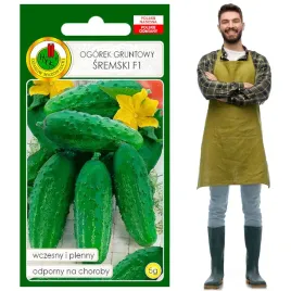 ogorek-sremski-f1-wczesny-konserwowy-i-kiszenia-5g