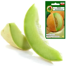melon-seledyn-plenny-orzezwiajacy-masa-do-14kg