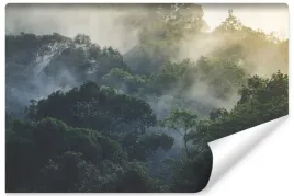 fototapeta-do-sypialni-tropikalny-las-we-mgle-natura-krajobraz-3d-400x280