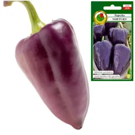 papryka-nokturn-pod-oslony-fioletowa-na-surowo