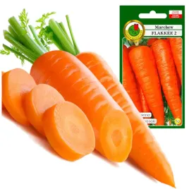 marchew-jadalna-flakkee-2-plenna-na-sok-dl-do-30cm