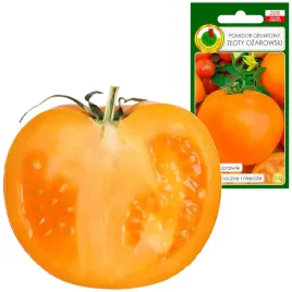 pomidor-gruntowy-zloty-ozarowski-plenny-miesisty