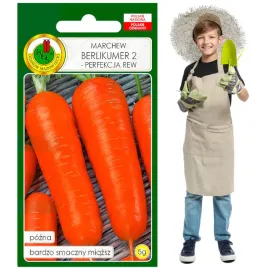 marchew-berlikumer-2-pozna-smaczna-chrupka-do-19cm