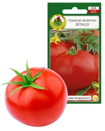 pomidor-gruntowy-betalux-wczesny-bardzo-smaczny