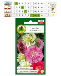malwa-jednoroczna-mieszanka-kwiat-pnos-nasiona