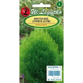 mietelnik-cyprys-letni-zielony-1g-nasiona-w-legutko