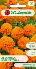 nasiona-aksamitka-rozpierzchla-pomaranczowa-1g