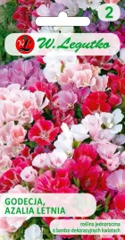 nasiona-godecja-azalia-letnia-mieszanka-1g