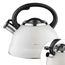 czajnik-nierdzewny-25-l-bezowy-indukcja-gaz-tradycyjny-z-gwizdkiem