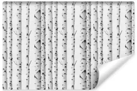 fototapeta-scienna-brzozy-drzewa-natura-abstrakcja-mural-400x280
