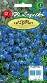 nasiona-lobelia-przyladkowa-stroiczka-niebieska