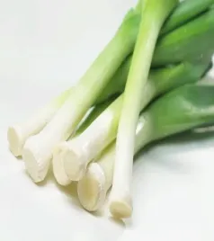 por-albos-gruby-srednio-wczesny-zbior-letni-jesienny-polecany-nasiona-pora