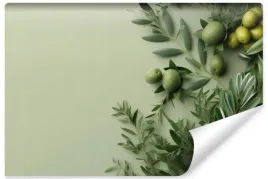 fototapeta-do-kuchni-galazki-oliwne-minimalizm-natura-swieze-ziola-450x300