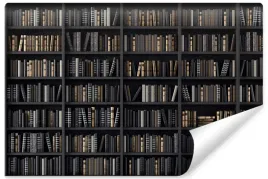 fototapeta-do-biura-biblioteczka-styl-vintage-ksiazki-efekt-3d-450x300