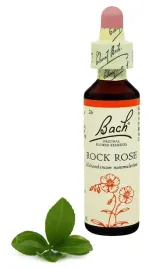 26-rock-rose-poslonek-20-ml-nelson-bach