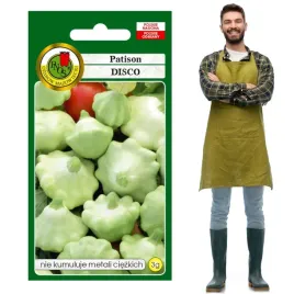 dynia-disco-disco-patinson-dzwonkowate-dietetyczny-3g