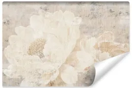 fototapeta-do-sypialni-kwiaty-natura-beton-mur-mural-abstrakcja-400x280