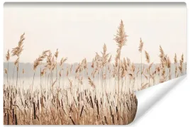 fototapeta-scienna-jezioro-trzciny-trawa-natura-pejzaz-boho-400x280