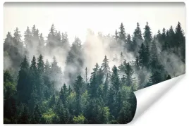 fototapeta-do-jadalni-las-we-mgle-gory-pejzaz-natura-drzewa-450x300