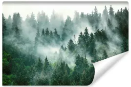 fototapeta-do-sypialni-las-we-mgle-pejzaz-efekt-3d-natura-drzewa-450x300