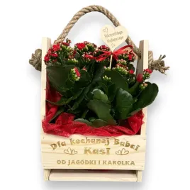 drewniana-doniczka-prezent-z-okazji-na-dzien-babci-i-dziadka-kwiaty-rp179