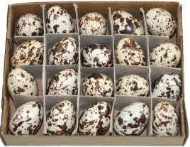 jajka-przepiorcze-plastikowe-36cm-20-sztuk-wielkanoc-jajeczka-nakrapiane