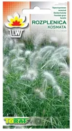 nasiona-rozplenica-kosmata-12sztuk-toraf-bardzo-dekoracyjna-trawa