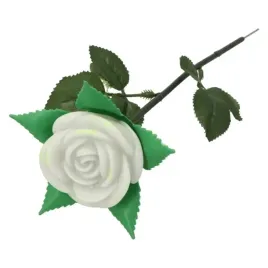 roza-swiecaca-zmieniajaca-kolor-na-walentynki-biala