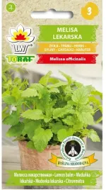 melisa-lekarska-miododajna-ziola-aromatyczna-05g-nasiona-toraf
