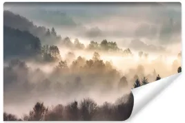 fototapeta-do-sypialni-las-we-mgle-wschod-slonca-krajobraz-3d-450x300