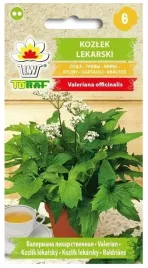 kozlek-lekarski-ziola-02g-nasiona-toraf
