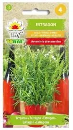 estragon-lecznicze-ziola-wieloletnie-01g-nasiona-toraf