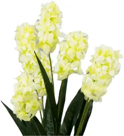 bukiet-hiacynt-kremowy-wiosna-64-cm-7-galazek-hiacynty-kremowe-ecru-ozdoba