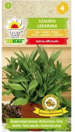 szalwia-lekarska-ziola-do-plukania-gardla-dziasel-1g-nasiona-toraf