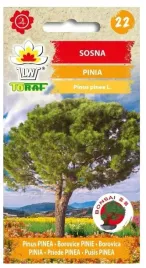 sosna-pinia-drzewko-10szt-nasiona-toraf