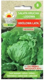 salata-krucha-lodowa-krolowa-lata-wczesna-1g-nasiona-toraf