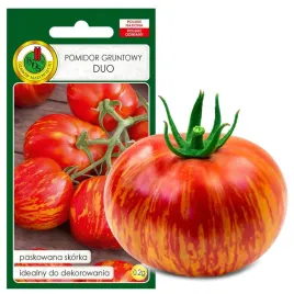 pomidor-gruntowy-duo-paskowany-nasiona-bez-gmo
