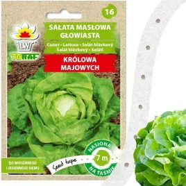 salata-maslowa-krolowa-majowych-nasiona-na-tasmie-7m-odmiana-wczesna-toraf