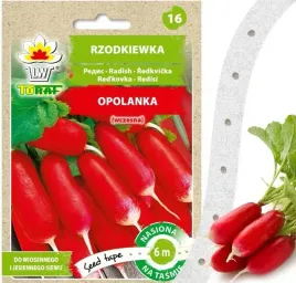 rzodkiewka-opolanka-nasiona-warzyw-na-tasmie-6m-odmiana-wczesna-toraf