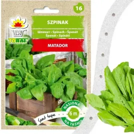 szpinak-matador-nasiona-warzyw-na-tasmie-6m-duze-liscie-toraf