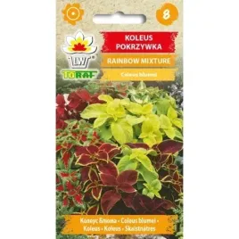 toraf-koleus-pokrzywka-rainbow-mixture-02g-jednoroczna-do-pojemnikow