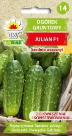 ogorek-julian-srednio-wczesna-do-kwaszenia-i-konserwowania-f1-5-g