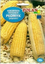 kukurydza-cukrowa-plomyk-20g-wczesna-pekajaca-slodka-plenna-popcorn