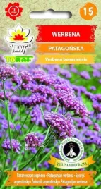 werbena-patagonska-niezwykle-piekne-kwiaty-miododajna-nasiona-toraf