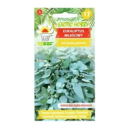 eukaliptus-wlasciwy-zimozielony-do-domu-nasiona-egzotyczne-10szt-toraf